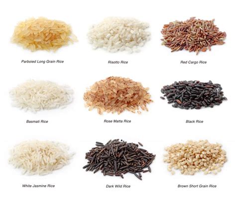 What Is Mixed Rice With Pictures