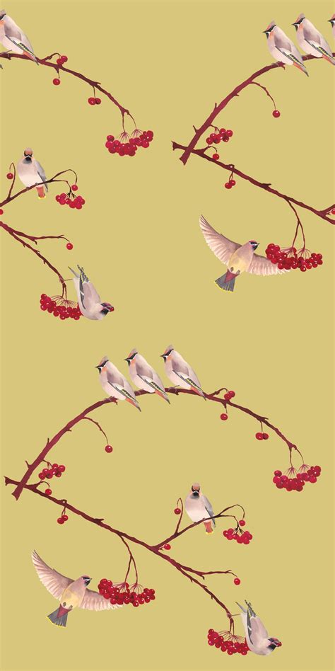 Waxwing by Petronella Hall - Lentil - Wallpaper : Wallpaper Direct in 2021 | Wallpaper direct ...