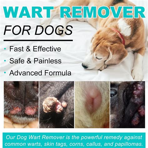 Firstnos Dog Wart Remover Natural Dog Skin Tag Remover Treatment