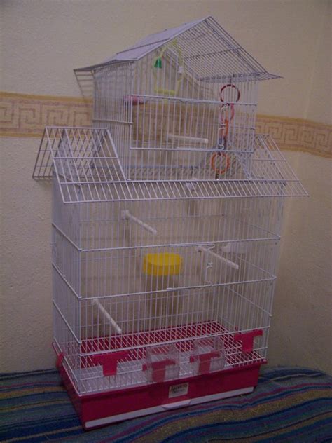 Como hacer una jaula para periquitos - Imagui