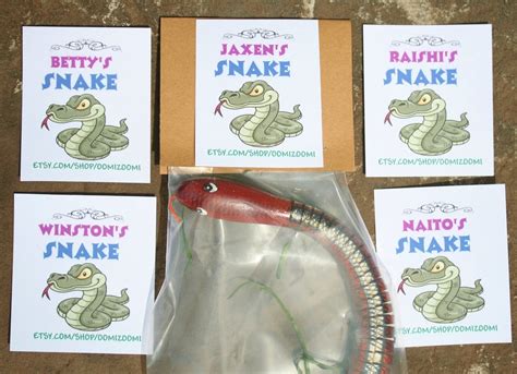 Personalized Wiggly Toy Snake 23 Inch Garden Snake Wiggly Etsy