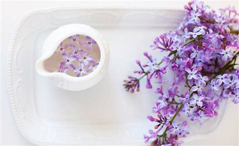 Still Life Lilac Flowers Cup White Hd Wallpaper Peakpx