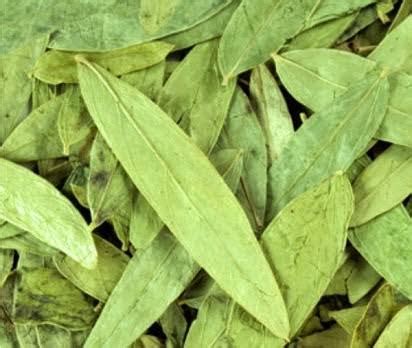 We did not find results for: REVIEW: Seminggu turun 2kg!! Pelangsing Teh Daun Jati Cina