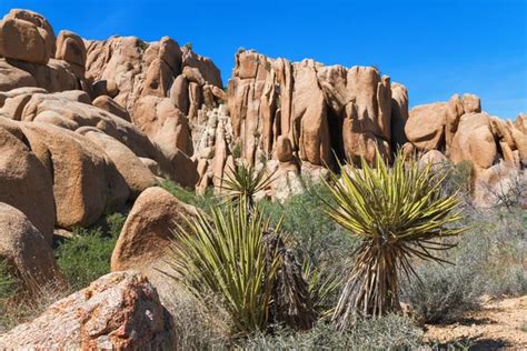 Mojave Desert Rock Formations Stock Photo By ©nstanev 5594565