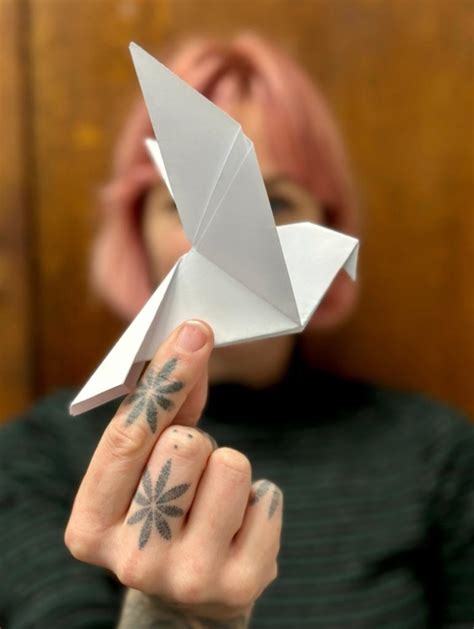 Bar Convent And New Visuality Charity Launch Appeal For Origami Doves From York Public For