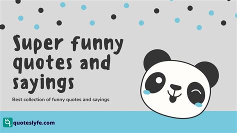 Best Funny Quotes And Sayings Funny Messages Quoteslyfe