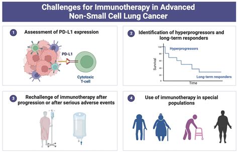 Immunotherapy In Non Small Cell Lung Cancer New Data Support Its Use