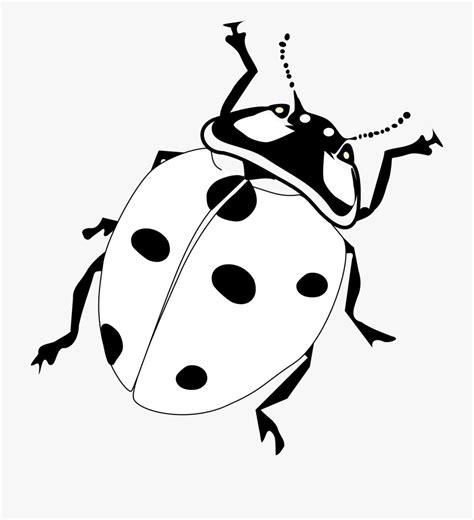 Free Black And White Ladybug Clipart Download Free Black And White