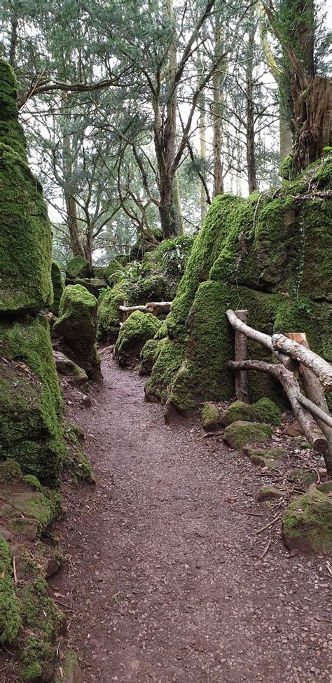 Puzzlewood Coleford 2019 All You Need To Know Before You Go With