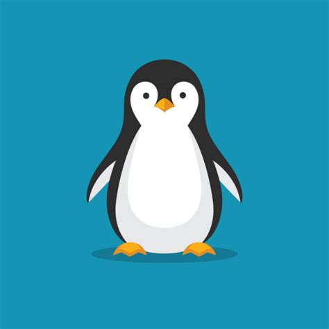 Penguin Illustrations Royalty Free Vector Graphics And Clip Art Istock