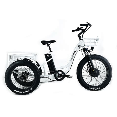 2022 전기화물 자전거는 성인을위한 전기 세발 자전거를 동봉했습니다 Bossgoo com의 고품질 2022 전기화물 자전거는