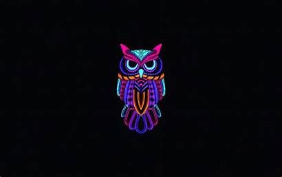 Dark 4k Owl Minimal Wallpapers Oled Macbook