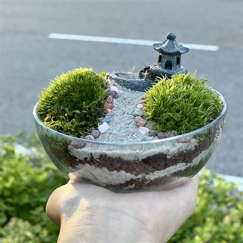 7989 best moss images on pholder miniworlds goblincore and nature is