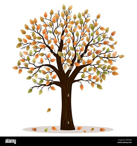 Autumn Tree Vector Stock Vector Image And Art Alamy