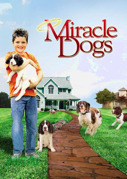 Miracle Dogs Too Movie Poster Style A 27 X 40 2006