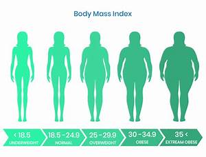 Fitness Calculator Bmi Bmr Tdee What Exactly Do They Mean