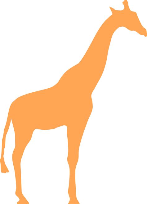 Northern Giraffe Silhouette Clip Art Giraffe Png Download 13871920
