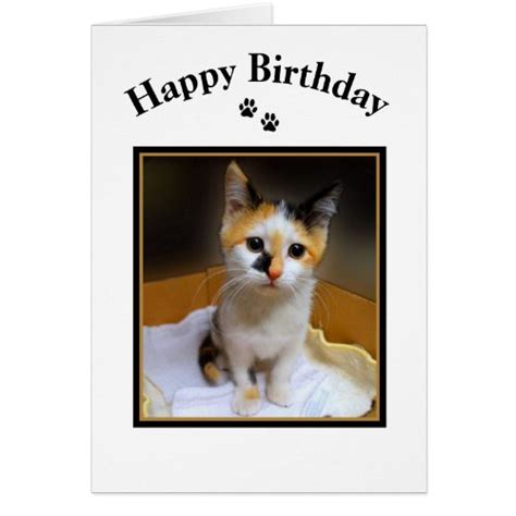 Calico Kitten Happy Birthday Its A Beautiful World