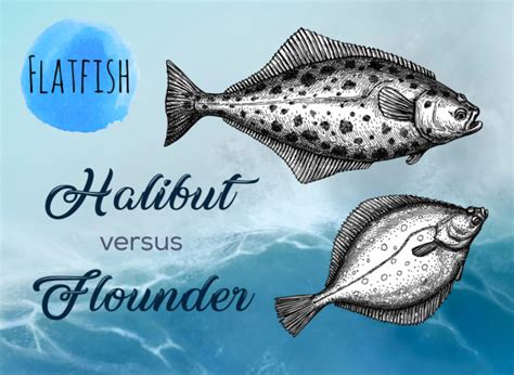 Flounder Vs Halibut What Is The Difference Tastylicious