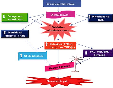 Alcoholic Neuropathy