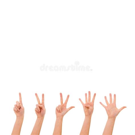 Count Till Five Cropped Shot Of Hands Isolated On White Stock Photo
