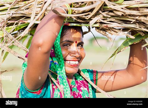 Happy Indian Rural Villager Woman Carrying Weed On Head Farm Stock
