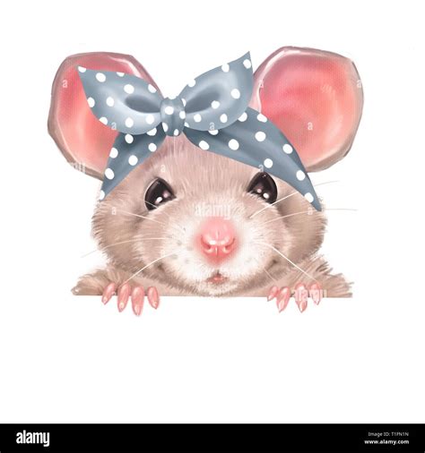 Cute Cartoon Rat Stock Photo Alamy