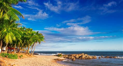 6 Curiosidades Sobre A Bahia Que Você Não Conhecia