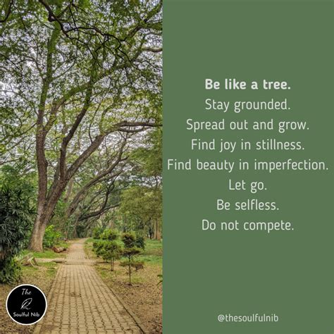 Be Like A Tree The Soulful Nib