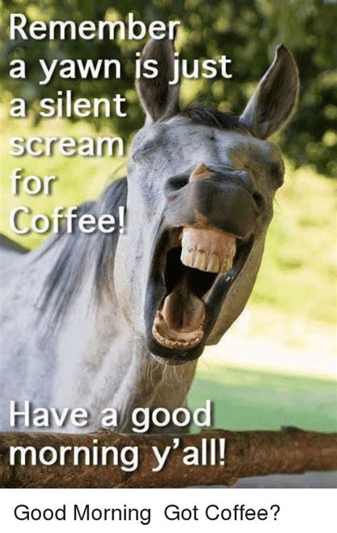 80 Good Morning Coffee Memes And Images To Kick Start Your Day