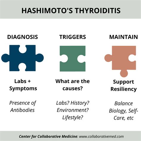 Hashimoto S Thyroiditis Part 1 Testing And Diagnosis Center For Collaborative Medicine