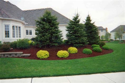 Jrs Creative Landscaping Entire Plant Gallery Evergreen Landscape