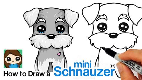 How To Draw A Miniature Schnauzer Puppy Easy Cartoon Dog