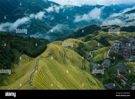Dragon S Back Rice Terrace In Longji China Stock Photo Alamy