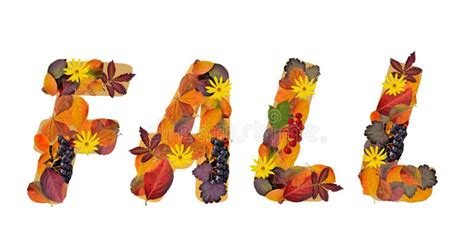 Word Fall Composed From Bright Colorful Autumn Leaves And Berries