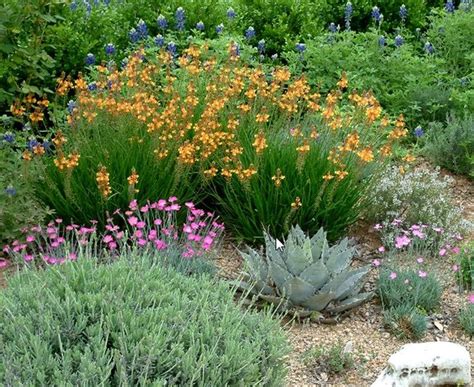 34 Beautiful Central Texas Landscaping Ideas Texas Landscaping Front