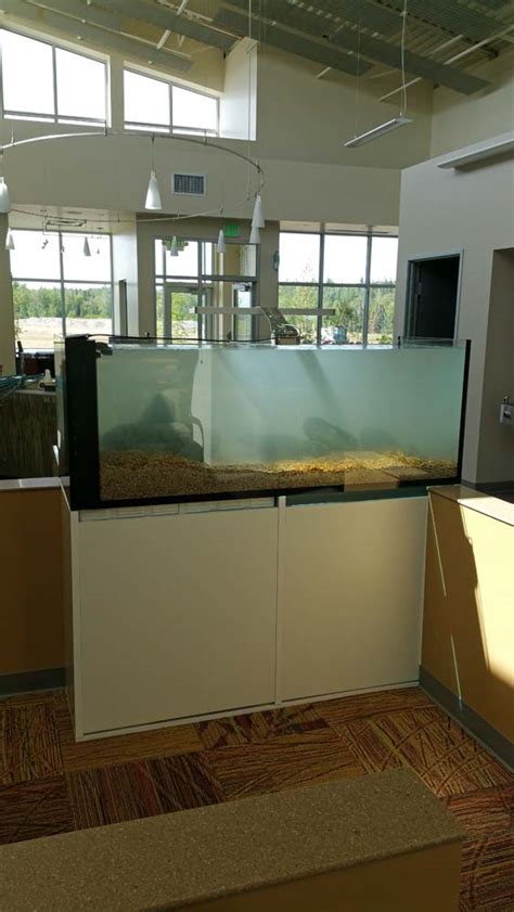 Medical Office 5 200 Gallon Freshwater Arctic Reef