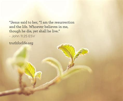 I Am The Resurrection And The Life