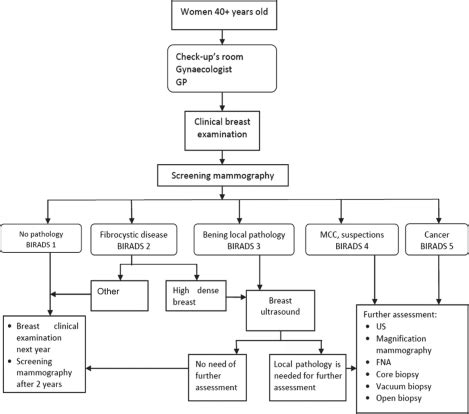Interval cancers defined as breast cancers diagnosed in the interval between scheduled screening episodes. Organizational structure of the Breast Cancer Screening ...