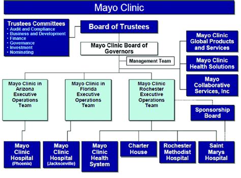 Organizational Chart Of Leadership At The Mayo Clinic The Parent
