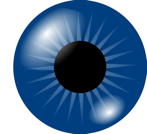 Augapfel Auge Iris · Kostenlose Vektorgrafik Auf Pixabay