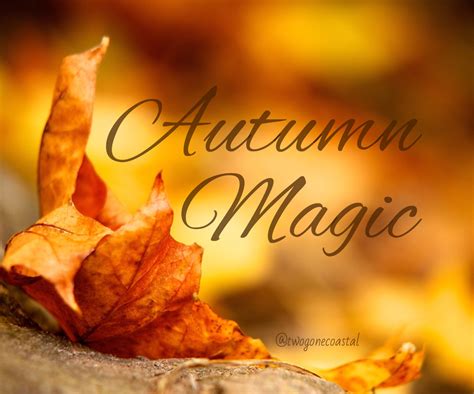 Pin By Twogonecoastal On Bokeh Color Match Autumn Magic Depth Of