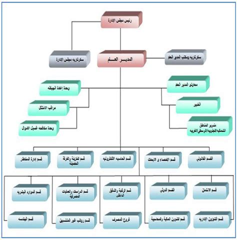 تقديم الملف للبنك ليقوم بدراسته و تمويل الحصة البنكية الخاصة به. التسلسل الهرمي للخدمات المصرفية الاستثمارية مدير الإدارة ...