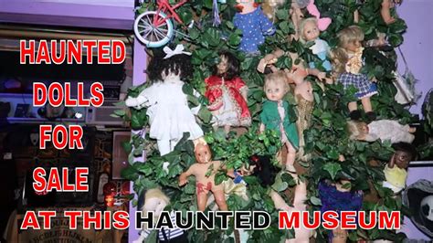 Omg The Haunted Dolls Haunted Museum Is Full Of Spirits Youtube