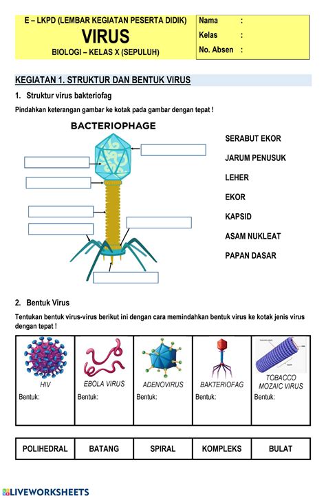 Virus Lkpd E Lkpd Lembar Kegiatan Peserta Didik Virus Biologi