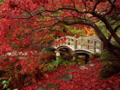 Why chatter about delusion and enlightenment? Beautiful Kyoto Gardens - Japan - World for Travel