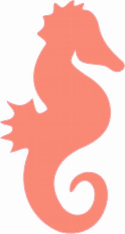 Coral Outline Seahorse Clipart Clip Cartoon Jell