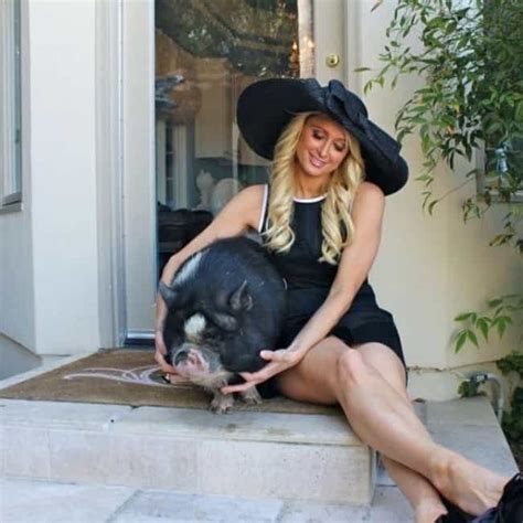 Celebrities Who Have Pet Pigs Famous People With Pet Pigs
