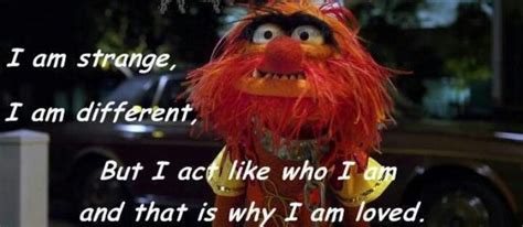 Animal Muppet Quotes Quotesgram