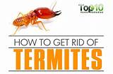 Photos of Home Remedies For Termites Outside